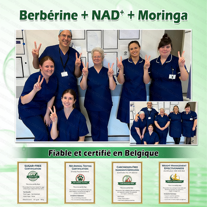 Boutique officielle 🎁🎁𝐆𝐋𝐎𝐑𝐄𝐍𝐃𝐀® Moringa · Berbérine + NAD+ – Patch Microneedle Nano Avancé 10-en-1 (1×/jour, résultats visibles en 7 jours) | Obésité, relâchement cutané, apnée du sommeil, articulations, etc.-LYJ